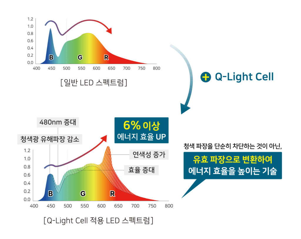 Q-Lgiht Cell 그래프 비교